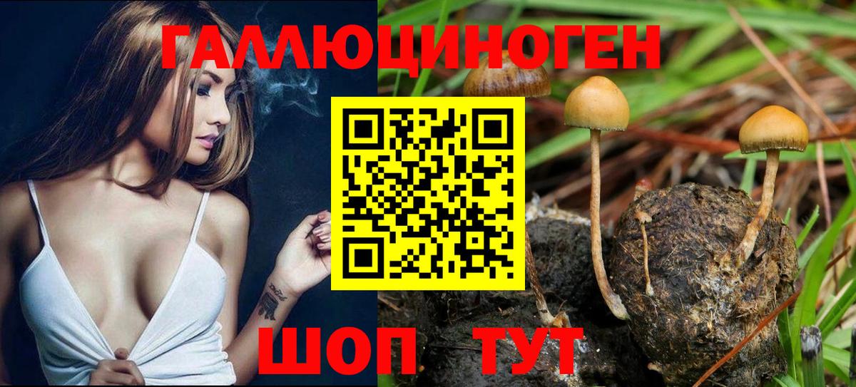 наркошоп  Галлюциногенные грибы Magic Shrooms  Арзамас  Вход с VPN  Галлюциногенные грибы ЛСД 